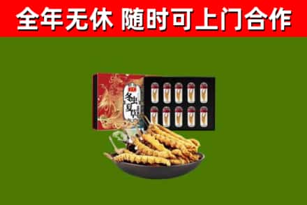 武义县回收冬虫夏草价格