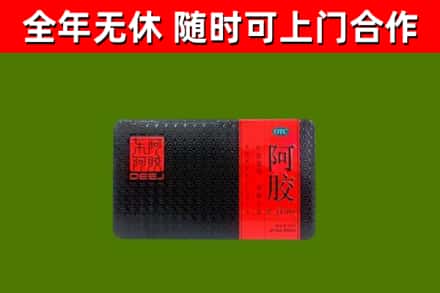 武义县回收阿胶