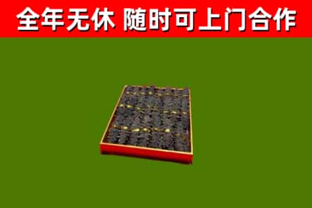 武义县回收海参